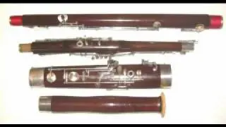 Mirafone (Schreiber) Bassoon #16xx Demo