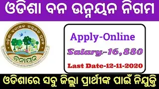 OFDC Odisha Recruitment 2020 | Apply for 146 Accountant |Odisha Govt jobs