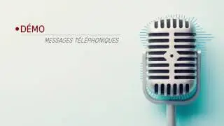 Narration professionnelle