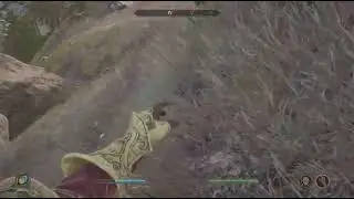 Oblivion Remastered Bear Physics