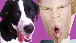 THE GREATEST SONG ABOUT A DOG EVER MADE