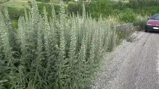 Strade dimenticate dalla provincia di Avellino