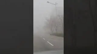 Driving in a thick fog!