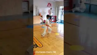 #10KickChallenge for #kidskickingcancer #centurymartialarts #HeroesCircle