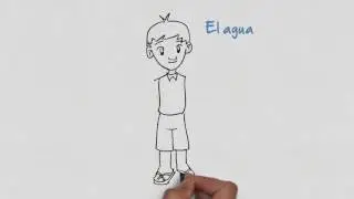 Cuarto Básico - Ideas principales de un texto