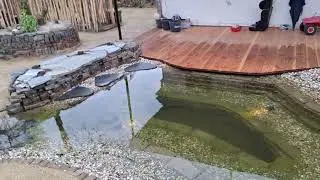 vijvertuin bijna af.