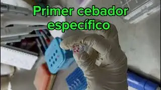 Top Taq PCR Invitrogen