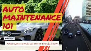 Social Media Advertising / 4k Social Media Publicity / Grow Business / Videos for Marketing / Sales