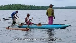 From Destruction to Restoration: How Communities Restored a Mangrove Ecosystem.