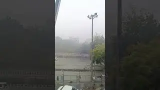 Dilli ki sardi # fog # nature # shorts #🥶