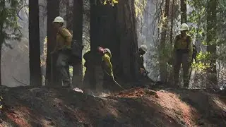 Placer County Hill Fire contained, evacuation warnings still in effect