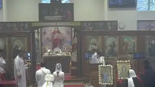 Queen Saint Mary & Prince Tadros [QSMPT] Live Stream