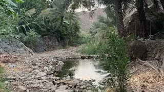 المغامرات | وادي العبادلة | مسار | Adventures | a path| Valley of Abadla