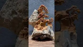 Asian Wood Carving #woodworking #art #diy