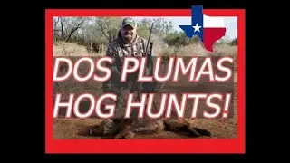 Wild Hog Hunting in TEXAS - Dos Plumas Hunting Ranch