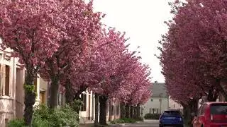 Werder an der Havel, Blütezeit