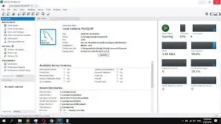 How to Check the Server Status in MySQL Workbench using the GUI