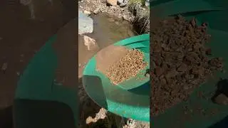 Bedrock breaking Lynx Creek Gold Panning #prospecting #arizona #goldpannning