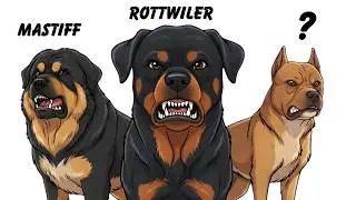 Guard Dog Breeds That Are Extremely DANGEROUS