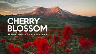 Cherry Blossom Spring Lightroom Presets Workflow