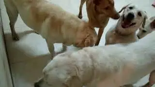 MOV00762