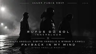 Swedish House Mafia Mashup | Innerbloom X Payback X In My Mind ⚫️⚫️⚫️