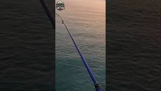 Best Fisherman sport for Fishing‼️Edge of cliff with great Sunset #fishingvideo #sunset