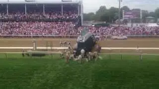 Kentucky Oaks 2013 - Turf Race - Jockey Falls Off Horse