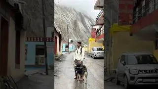 Two mountains lover❤️ #travel #dog #mountains #explore