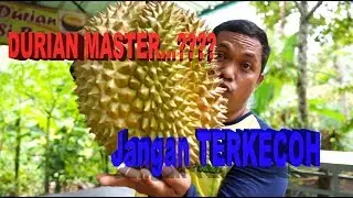 Durian Master...? Awas jangan Tertipu....