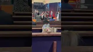 Mira 👀 Esto, es verdad.     #video #jesus #videos