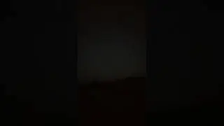 Noctule Bat Echolocation