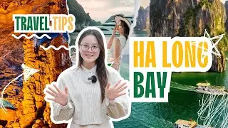 Ha Long Bay Travel Tips: What to Know Before Cruising Vietnam&rsquo;s Natural Wonder