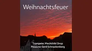 Feuerwerksmusik HVW 351 in D-Dur: La Rejouissance