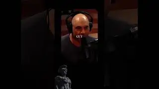 Lives Of Quiet Desperation - Joe Rogan