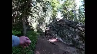 Sunday Gulch Trail - Custer State Park, South Dakota