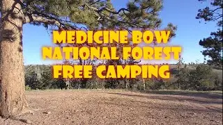 Medicine Bow National Forest Free Camping
