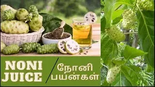 Modicare Well Noni benefits  Tamil