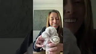 Adorable #bunny stuffed animals: perfect #gift for any occasion!