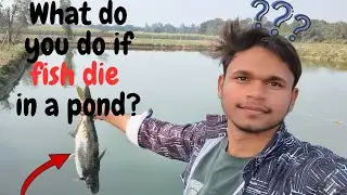What do you do if fish die in a pond? #fishing #vlog #fishfarming #newvlog 