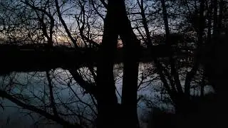 #deutschland #germany #bayern #bavaria #cham #bayerischerwald #jungle #fluss #river #night #walking