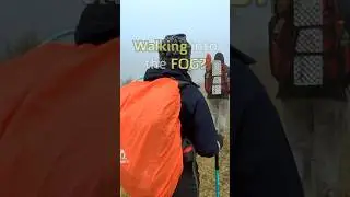 Going Home Meant Walking into the Unknown&hellip; #adventure #fog #foggy #hike #hiking #travel #travelvlog