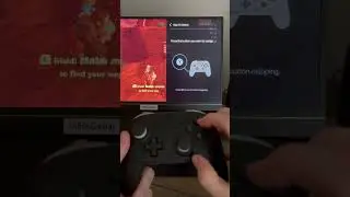 Switch 2 Pro Controller Assignable Buttons