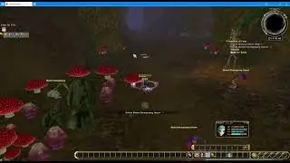 Flyff Universe | Quest Guide | Phantom of Fear