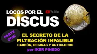 EL SECRETO DE LA FILTRACIÓN INFALIBLE (PARTE 2): CARBÓN, RESINAS Y ANTICLORO