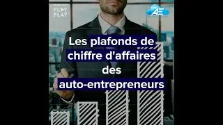 Les plafonds de chiffre d'affaires du r&eacute;gime auto-entrepreneur