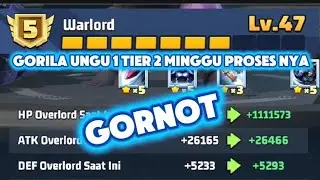 gorila ungu 1 tier 2 minggu proses nya lama banget nikmatin aja guys yak