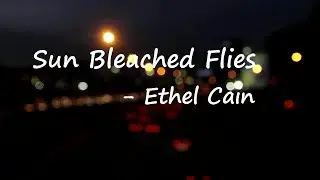 Ethel Cain &ndash; Sun Bleached Flies Lyrics