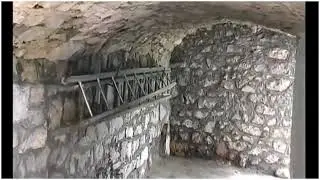 Naši  Volti
