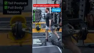 7 Steps to Proper LUNGES & SPLIT Squats!! Longitudinal Trap bar